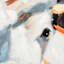 Orange Steer Canvas Wall Art, 32x24