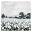 White Flower Canvas Wall Art, 30"