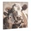 Double Cow Canvas Wall Art, 24"