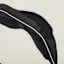 Black Plant Canvas Wall Art, 24x32