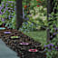 4-Pack 15-Lumen Solar Multi-Purpose Color Changing Disc Light