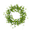 22IN JASMINE VINE WREATH