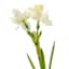 Natural-Touch Narcissus Pick, 12"