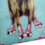 Lets Get Physical Canvas Wall Art, 12x16