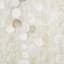 Cream Gloss Embellished Canvas Wall Art, 24"
