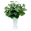Greenery in Ceramic Urn Pot, 18"