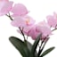 18IN RF ORCHID IN POT