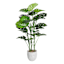 Monstera Tree with Grey Tribal Planter, 46"