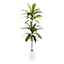 Ty Pennington Floor Greenery with White Ceramic Pot, 52"