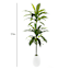 Ty Pennington Floor Greenery with White Ceramic Pot, 52"