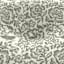 Honeybloom Endive Floral Outdoor Tufted Back Cushion