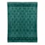 Found & Fable Green Printed Micro Plush Throw Blanket, 50x60