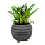 Indoor Elle Grey Planter, 5"