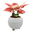 Indoor Elle White Planter, 5"