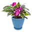 Sunny Club Indoor Blue Ribbed Planter, 6"