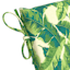Marconi Leaf Outdoor Chaise Lounge Cushion