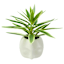 Lilies in Face Pot, 10.5"