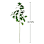 Aglaia Odorata Leaves Stem, 30.5"