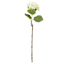 24IN WH FABRIC REAL FEEL HYDRANGEA STEM