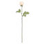 24N LT PK REAL-FEEL ROSE STEM