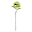 Green Fabric Real-Feel Hydrangea Stem, 24"