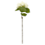 White Real-Feel Hydrangea Stem, 25"