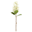 24IN WH FABRIC REAL FEEL CONE HYDRANGEA STEM