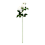 White Real-Feel Rose Stem, 29"