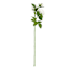 White Real-Feel Rose Stem, 29"