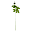 White Real-Feel Rose Stem, 29"
