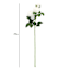 White Real-Feel Rose Stem, 29"