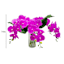 Real-Feel Orchid Arrangement, 16"