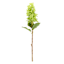 Green Fabric Real-Feel Cone Hydrangea Stem, 24"