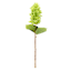 Green Fabric Real-Feel Cone Hydrangea Stem, 24"