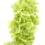Green Fabric Real-Feel Cone Hydrangea Stem, 24"