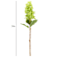 Green Fabric Real-Feel Cone Hydrangea Stem, 24"