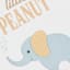 Framed Peanut Elephant Wall Art, 14"