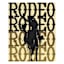 Ombre Rodeo Wall Art, 16x20