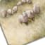 Honeybloom Framed Sheep Canvas Wall Art, 24x30