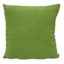 Lime Green Canvas Square Outdoor Throw Pillow, 16"
