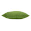 Lime Green Canvas Square Outdoor Throw Pillow, 16"