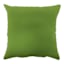 Lime Green Canvas Square Outdoor Throw Pillow, 16"