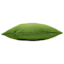 Lime Canvas Lumbar Outdoor Throw Pillow, 14x20