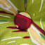 Tropical Cherry Outdoor Tufted Back Cushion