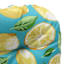 Teal & Lemon Outdoor Wicker Seat Cushion