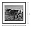 Glass Framed African Elephants Print Wall Art, 29x23