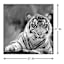 Glass Framed Tiger Print Wall Art, 27"