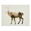 Ty Pennington The Wilderness IV Canvas Wall Art, 16x12