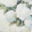 White Hydrangeas Canvas Wall Art, 16x20