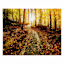 Autumn Path Canvas Wall Art, 16x20